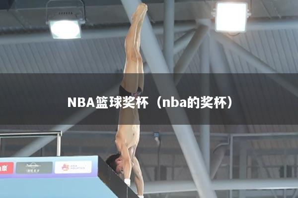 NBA篮球奖杯（nba的奖杯）