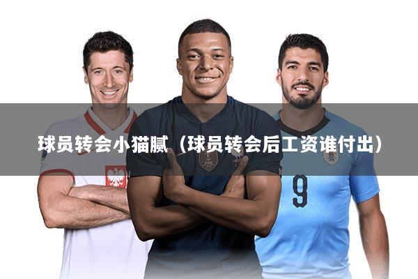 球员转会小猫腻（球员转会后工资谁付出）