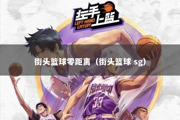 街头篮球零距离（街头篮球 sg）
