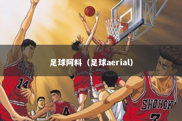 足球阿料（足球aerial）
