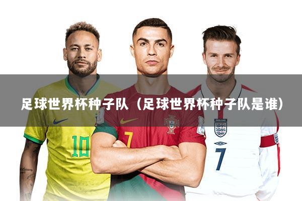 足球世界杯种子队（足球世界杯种子队是谁）